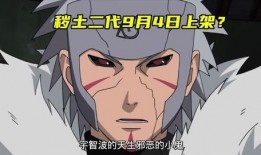 爆料火影被骂视频素材,网友热议忍者的荣耀与争议