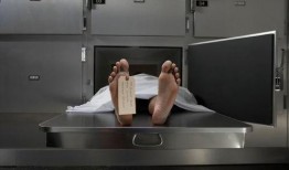 太平间真实爆料视频播放,真实爆料视频背后的惊悚真相