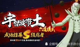 五月高招s最新爆料,最新爆料揭示高考政策与招生动态”