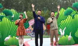 南阳爆料丑事最新消息视频,视频揭露惊人内幕，真相令人震惊