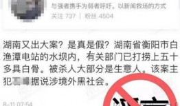 衡阳记者爆料案件最新消息,案件进展及关键证据曝光